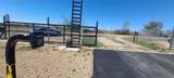 121 Pistol Road - Photo 5
