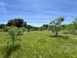 TBD Lake Creek Road - Photo 11