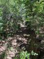 TBD Lake Creek Road - Photo 6