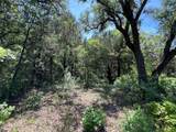 TBD Lake Creek Road - Photo 8