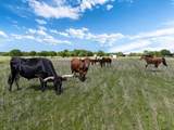 2503 Vz County Road 3804 - Photo 34