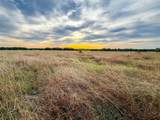 950 Old Ida Road - Photo 14