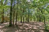 784 Camp Cypress Trail - Photo 6