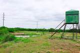 250 Cr 317 - Photo 17