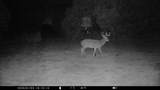 5636 Fm 56 - Photo 34