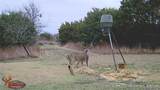 5636 Fm 56 - Photo 38