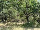 TBD Hwy 67-377 - Photo 26