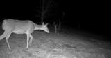 0000 County Road 2610 - Photo 28