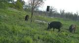 0000 County Road 2610 - Photo 29
