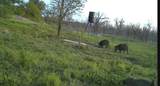 0000 County Road 2610 - Photo 30