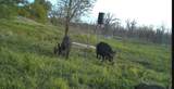 0000 County Road 2610 - Photo 31