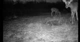 0000 County Road 2610 - Photo 33