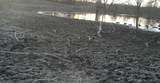 0000 County Road 2610 - Photo 34