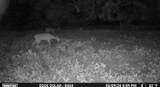 0000 County Road 2610 - Photo 35