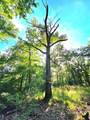 Lot 377 Timber Ridge - Photo 8