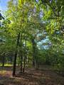 Lot 377 Timber Ridge - Photo 9