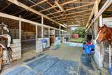 2550 Fm 120 - Photo 4