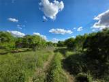 3201 County Road 612 - Photo 15