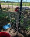 868 County Road 23940 - Photo 2
