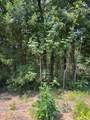 106 Red Bluff Loop - Photo 1