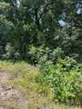 106 Red Bluff Loop - Photo 3