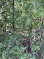 106 Red Bluff Loop - Photo 4