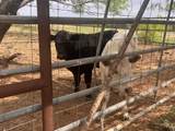 2548 County Road 2690 - Photo 19