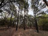 2548 County Road 2690 - Photo 26