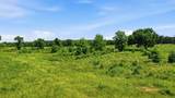 633 Stallion Meadows Drive - Photo 12