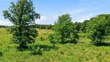 633 Stallion Meadows Drive - Photo 9