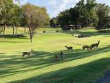 112 Pinnacle Club Drive - Photo 11
