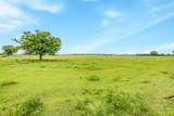 770 County Road 1346 - Photo 39