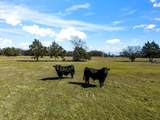 11095 State Highway 31 - Photo 1