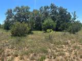 824 County Road 409 - Photo 2