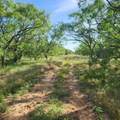 824 County Road 409 - Photo 25