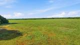 1343 County Road 188 - Photo 15