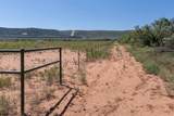439 County Road 321 - Photo 12