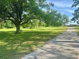 2200 Tipps Road - Photo 8