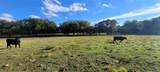 8601 Lowery Road - Photo 5