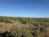 180 acres TBD Cr 343 - Photo 3
