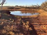 180 acres TBD Cr 343 - Photo 4