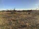 180 acres TBD Cr 343 - Photo 5
