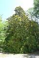 159 Chrislo Drive - Photo 36