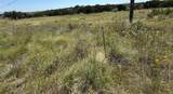 1029 County Road 407A - Photo 2