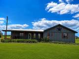 2515 Us Highway 77 Highway - Photo 1