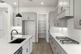 629 Bunchberry Street - Photo 14