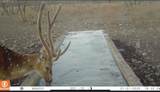 371 Axis Court - Photo 1