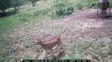 371 Axis Court - Photo 3