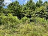 LOT 6 Fm 556 - Photo 4