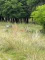Lot 237 Vista Pointe Drive - Photo 1